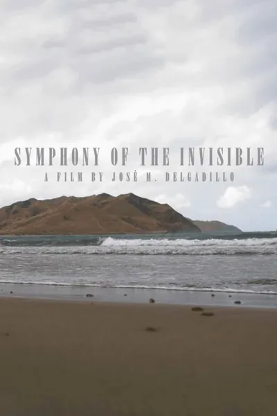Symphony Of The Invisible