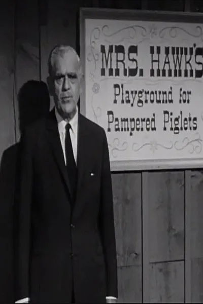The Remarkable Mrs. Hawk