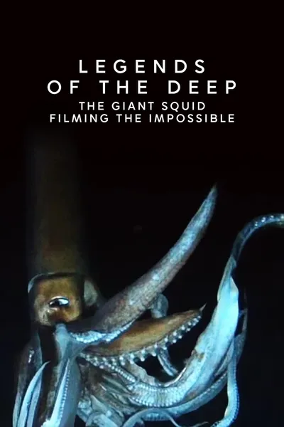 Legends of the Deep: The Giant Squid