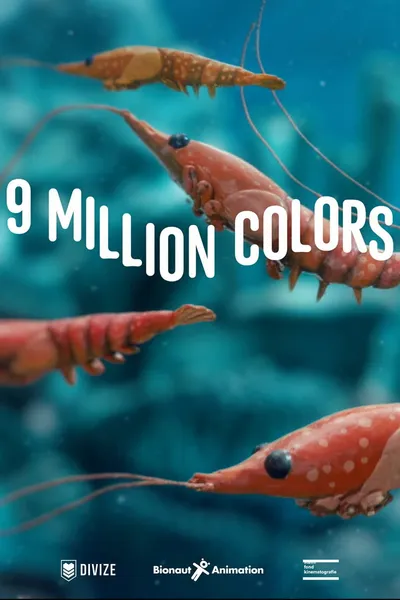 9 Million Colors