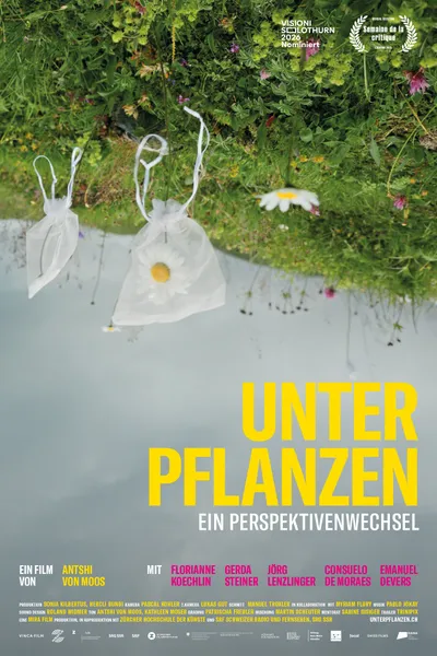 Flying Scents – of Plants and People