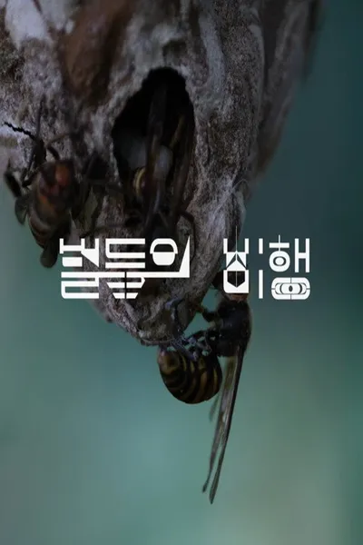 Hive