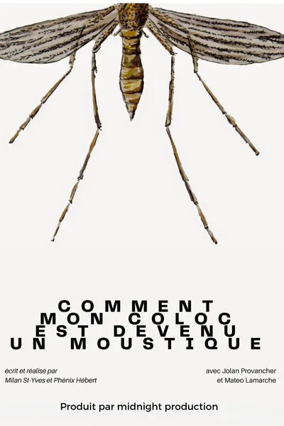 Comment mon coloc est devenu un moustique