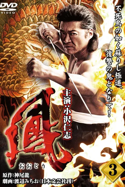 Ootori 3