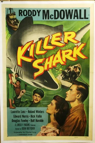 Killer Shark