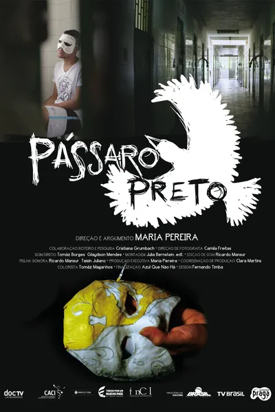 Pássaro preto