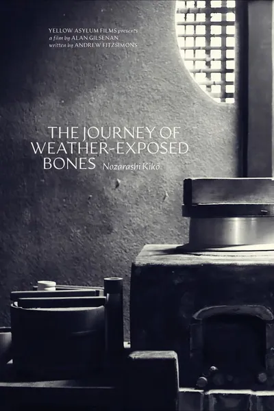 The Journey of Weather-Exposed Bones