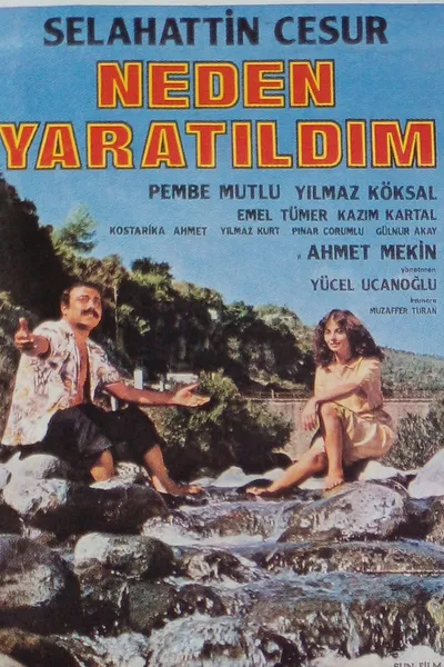 Neden Yaratıldım
