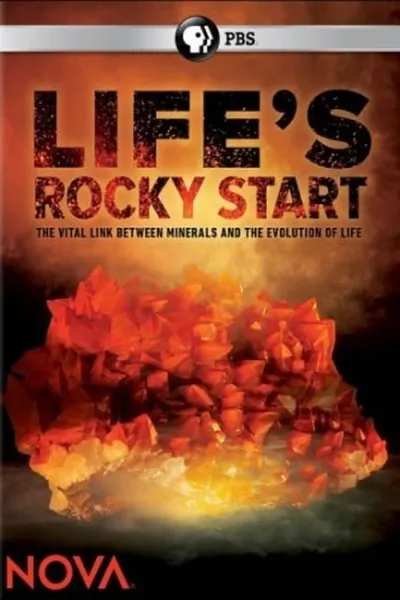 NOVA: Life's Rocky Start