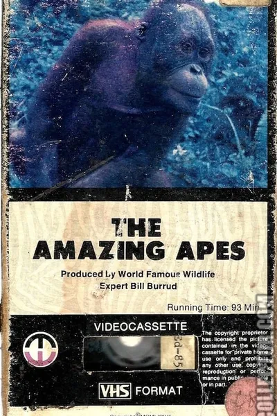 The Amazing Apes