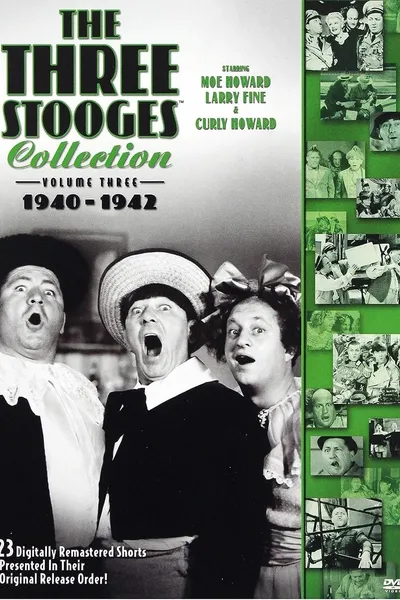 The Three Stooges Collection, Vol. 3: 1940-1942