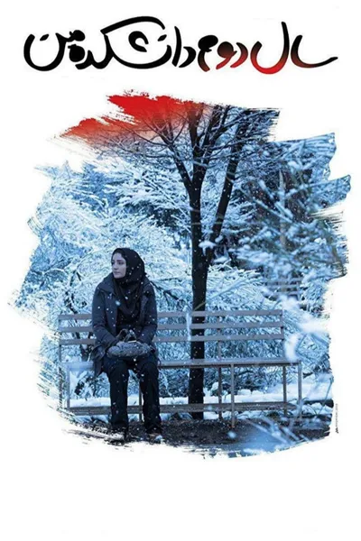 My Second Year in College