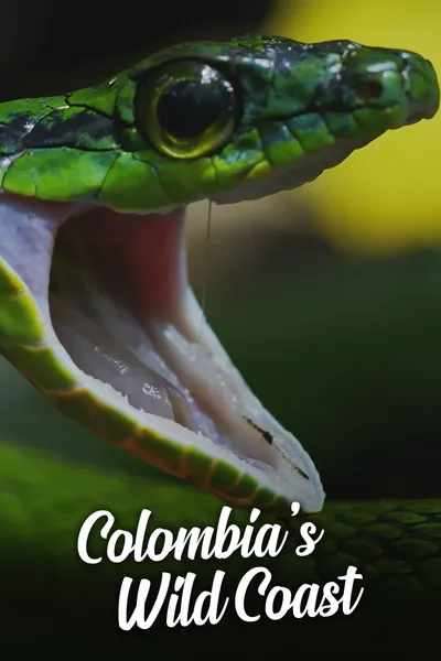 Colombia's Wild Coast