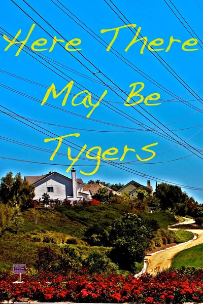 Here There May Be Tygers