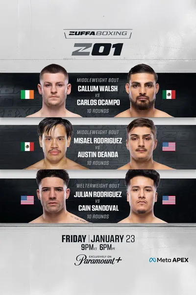 Zuffa Boxing 01
