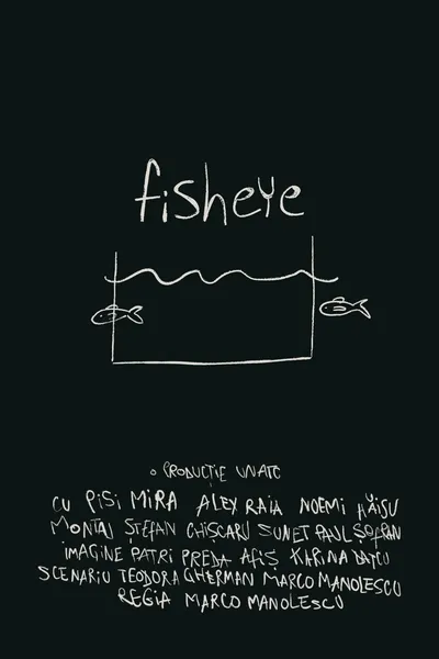 fisheye