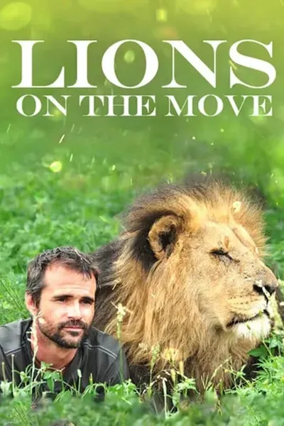Lions on the Move