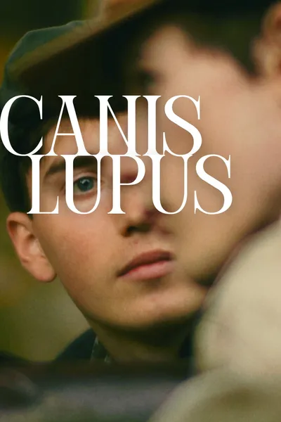 Canis Lupus