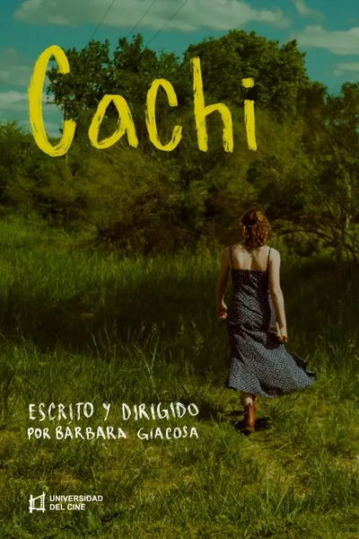 Cachi