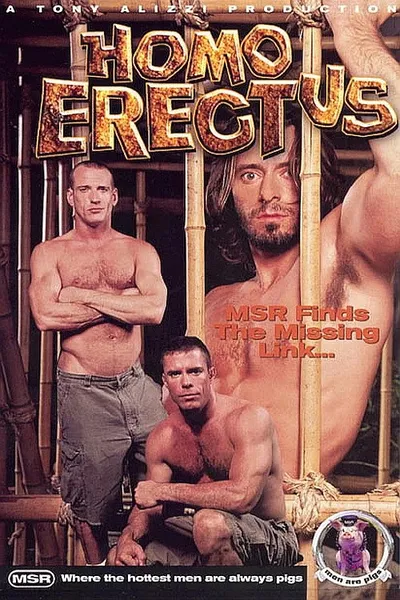 Homo Erectus