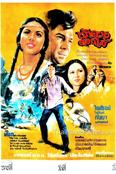 เจ้าดวงดอกไม้