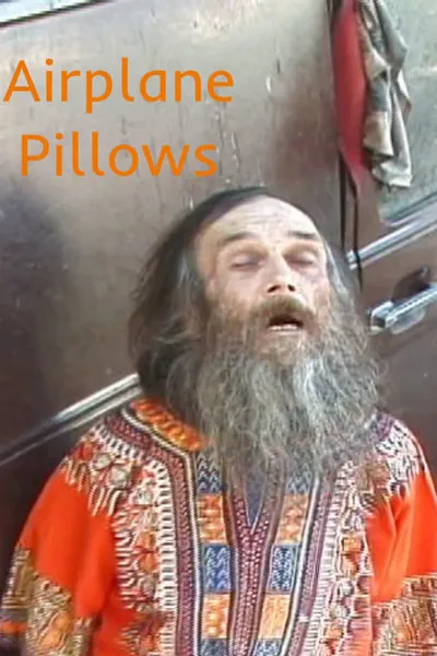 Airplane Pillows