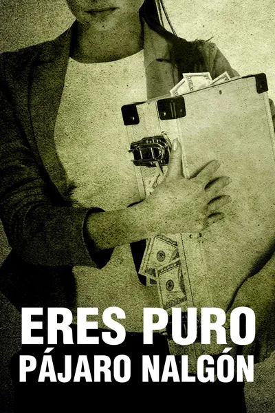 Eres puro pájaro nalgón