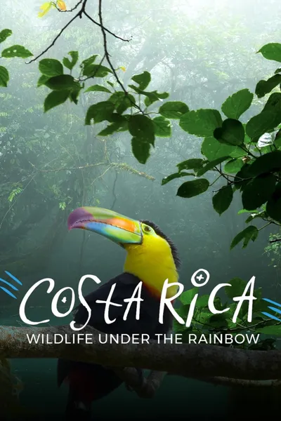 Costa Rica: Wildlife Under The Rainbow