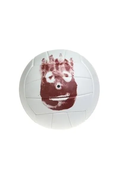 Wilson the Volleyball