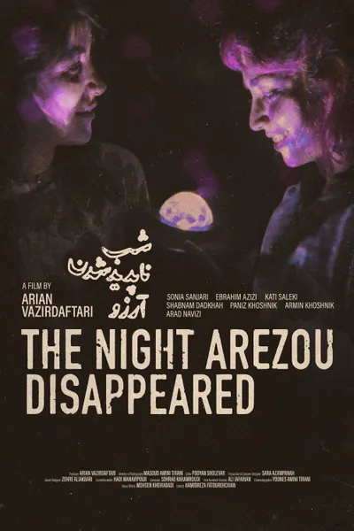 The Night Arezou Disappeared