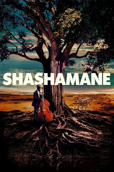 Shashamane