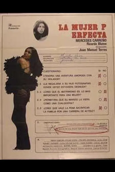 The Perfect Woman