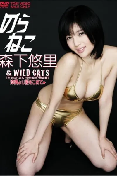 のらねこ 森下悠里 & WILD CAT’S/かでなれおん・中村知世・秋山優 沖縄より愛をこめて