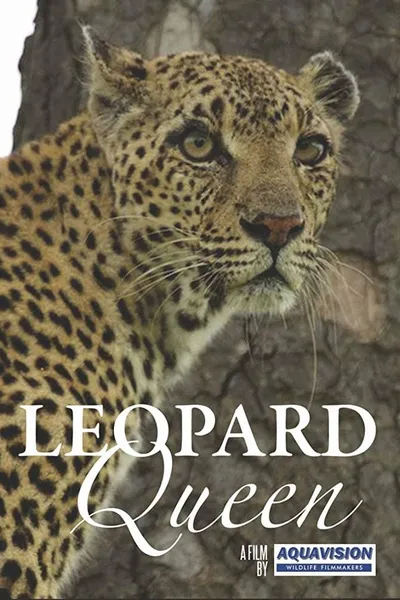 Leopard Queen