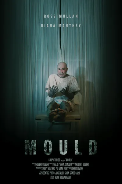 Mould