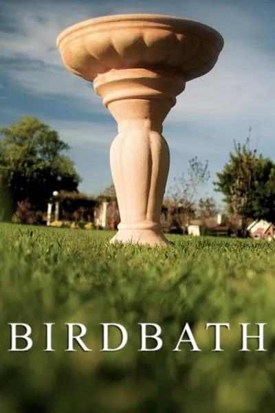 Birdbath