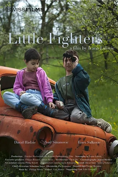 Little Fighters