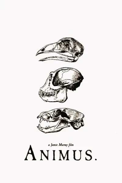 Animus