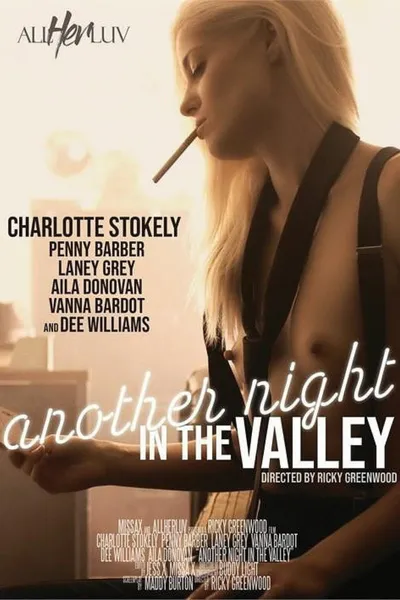 Another Night in the Valley