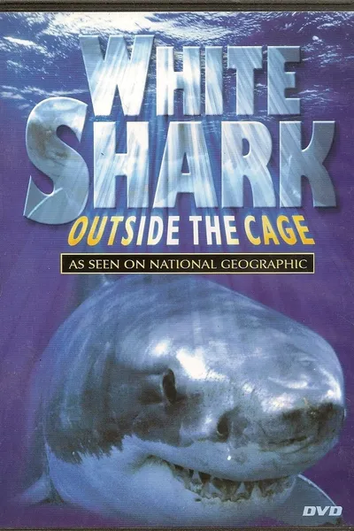 White Shark - Outside The Cage