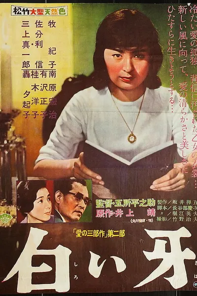 Shiroi Kiba
