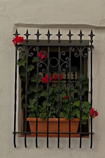 Las calles que nos quedan