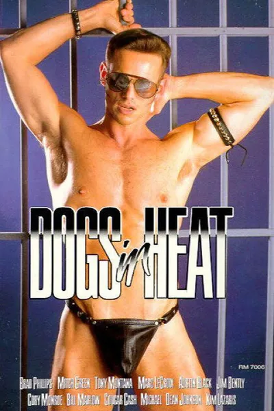 Dogs in Heat
