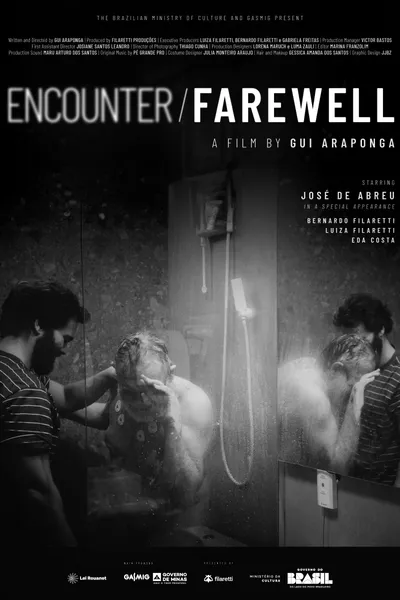 Encounter and Farewell
