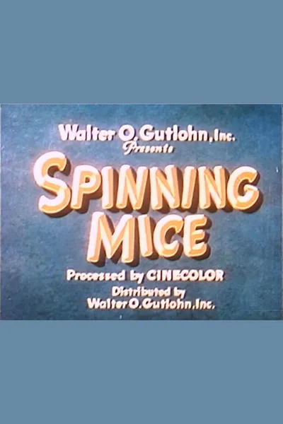 Spinning Mice