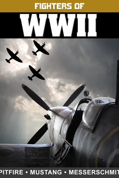 Fighters of WWII: Spitfire, Mustang, and Messerschmitt