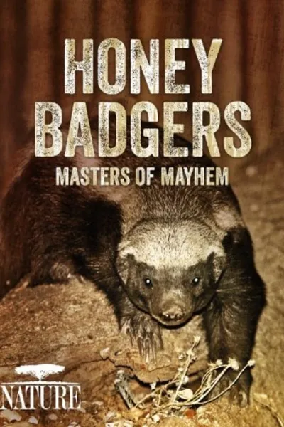 Honey Badgers: Masters of Mayhem