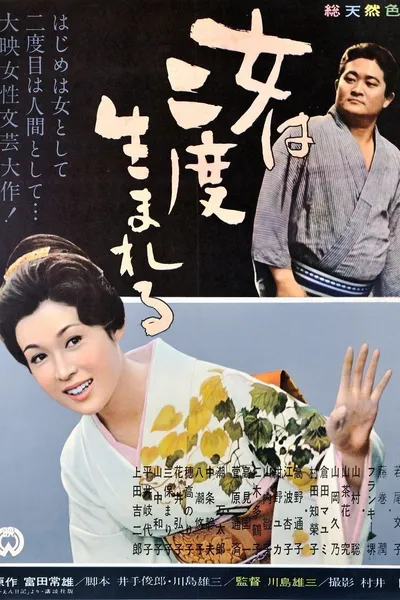 A Geisha's Diary