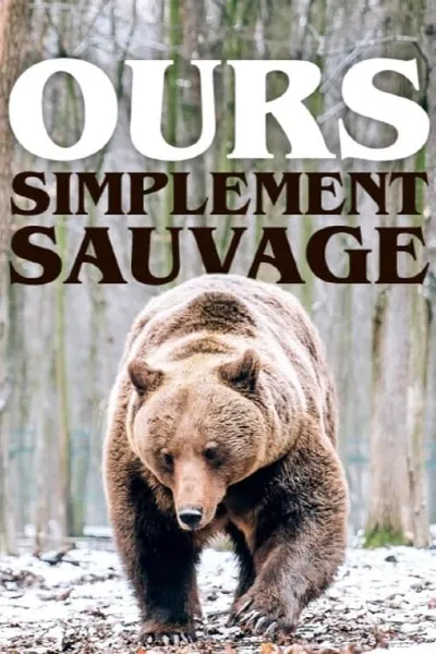 Ours, simplement sauvage