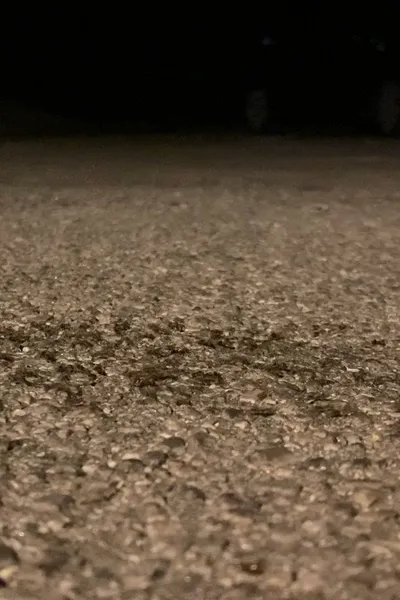 Snails Steadily Stroll the Street 2: Diligent Dirt-Dwellers Dash (Snails Steadily Stroll Lenin Nightcore Remix)